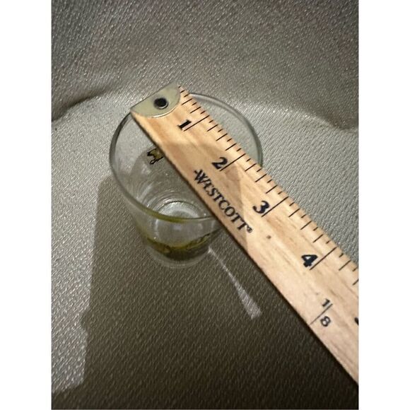 Vintage Hazel Atlas Wild Fowl Quail Bird Glass Tumbler 5” Retro MCM - Picture 8 of 8